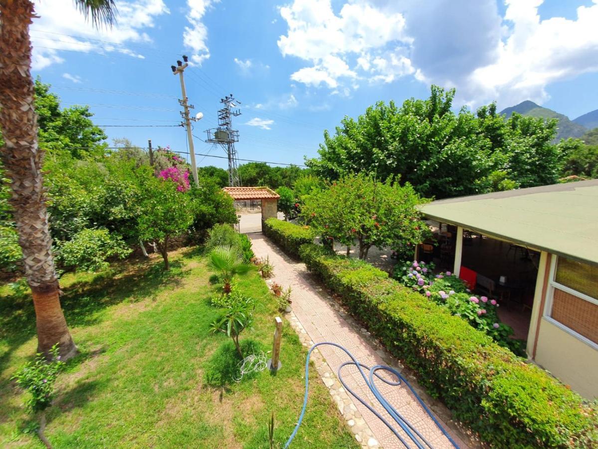 Oblomov Hotel Çıralı Ngoại thất bức ảnh